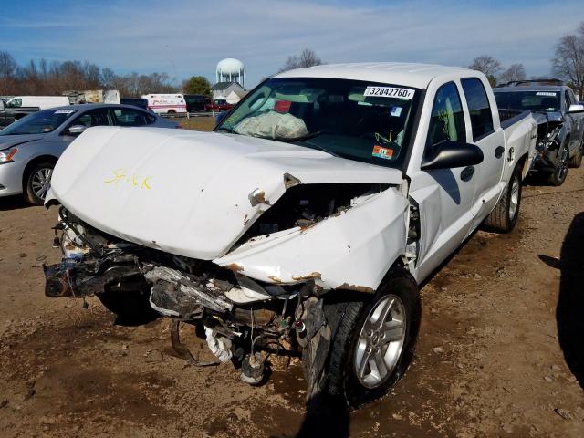 1D7RW3GK5BS620760 - 2011 DODGE DAKOTA SLT  photo 2