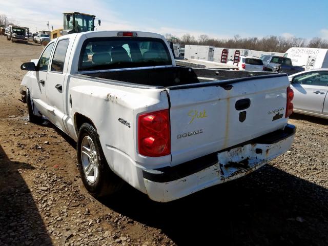 1D7RW3GK5BS620760 - 2011 DODGE DAKOTA SLT  photo 3