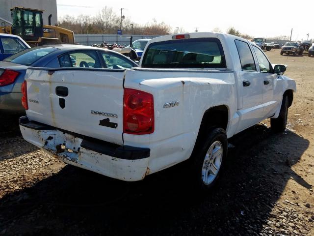 1D7RW3GK5BS620760 - 2011 DODGE DAKOTA SLT  photo 4