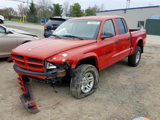 1B7HG2AN21S329826 - 2001 DODGE DAKOTA QUA RED photo 2