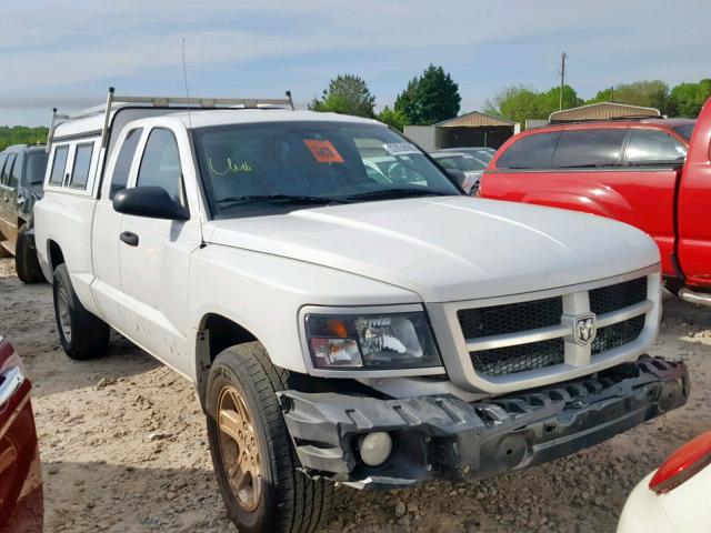 1D7RE3BK9BS688134 - 2011 DODGE DAKOTA SLT WHITE photo 1