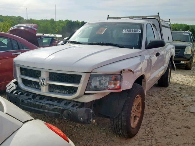 1D7RE3BK9BS688134 - 2011 DODGE DAKOTA SLT WHITE photo 2