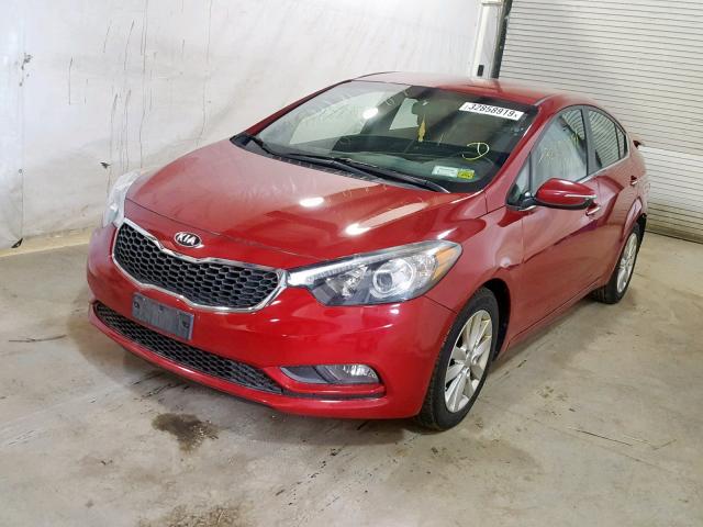 KNAFX4A85F5267547 - 2015 KIA FORTE EX RED photo 2