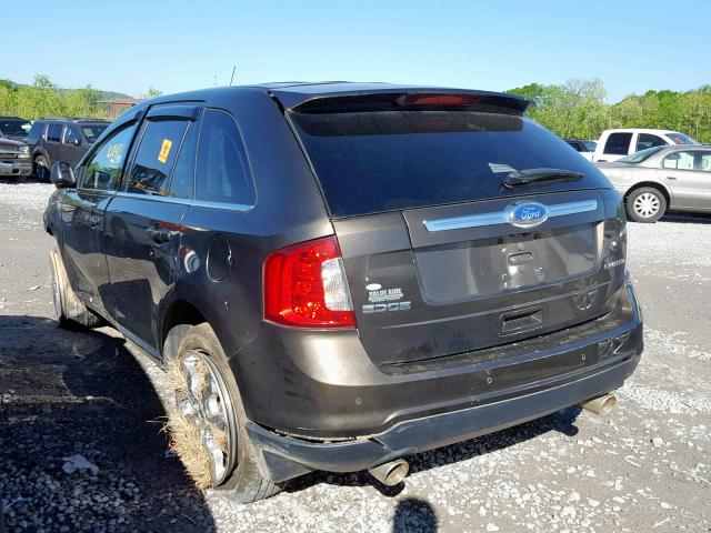 2FMDK3KC7BBB13011 - 2011 FORD EDGE LIMIT BROWN photo 3