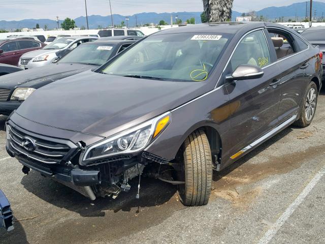 5NPE34AF7GH424263 - 2016 HYUNDAI SONATA SPO BROWN photo 2