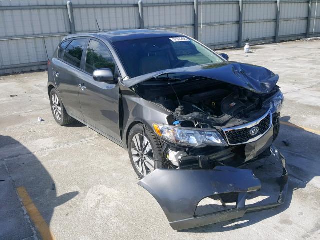 KNAFU5A2XD5685335 - 2013 KIA FORTE EX GRAY photo 1