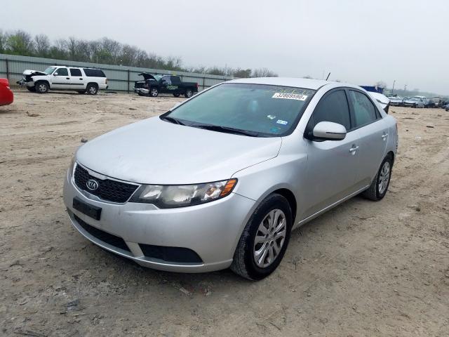 KNAFU4A22D5730178 - 2013 KIA FORTE EX  photo 2