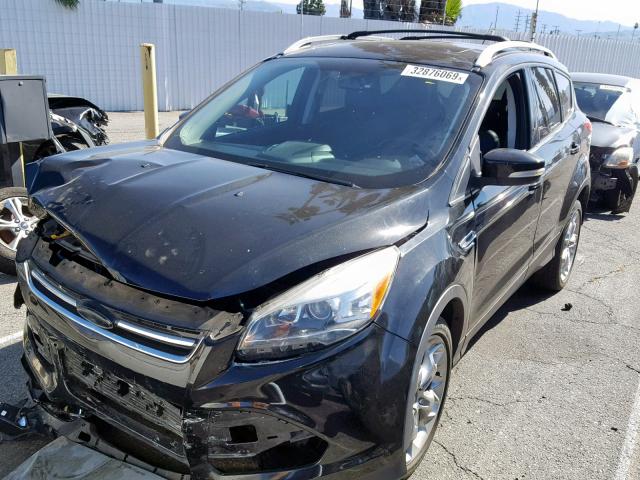 1FMCU0J95DUC71404 - 2013 FORD ESCAPE TIT BLACK photo 2