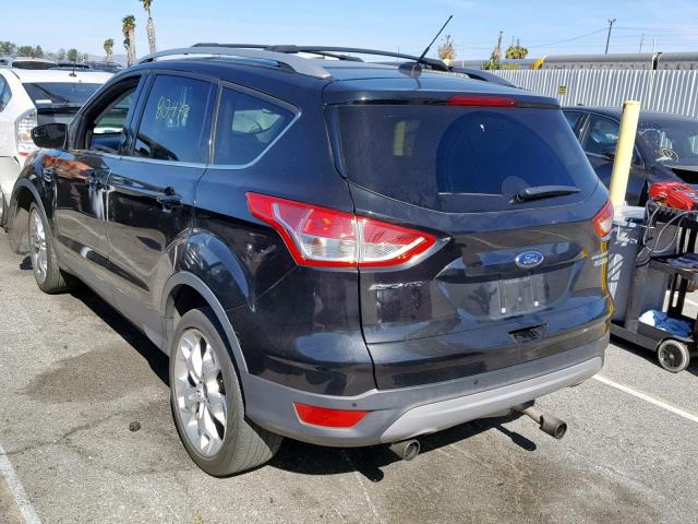 1FMCU0J95DUC71404 - 2013 FORD ESCAPE TIT BLACK photo 3