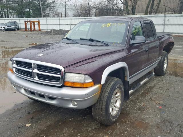 1D7HG48N34S635056 - 2004 DODGE DAKOTA QUA BURGUNDY photo 2