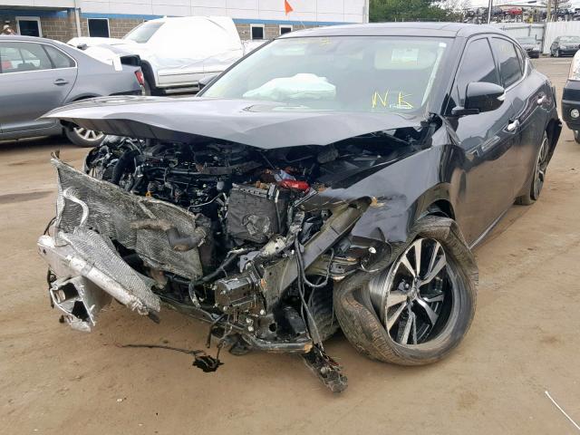 1N4AA6AP4HC450282 - 2017 NISSAN MAXIMA 3.5 BLACK photo 2