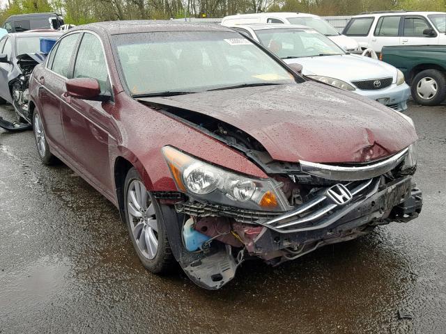 1HGCP2F81BA032987 - 2011 HONDA ACCORD EXL BURGUNDY photo 1