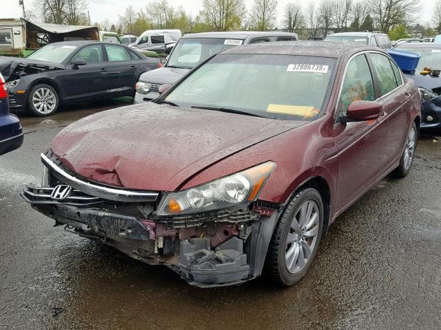 1HGCP2F81BA032987 - 2011 HONDA ACCORD EXL BURGUNDY photo 2