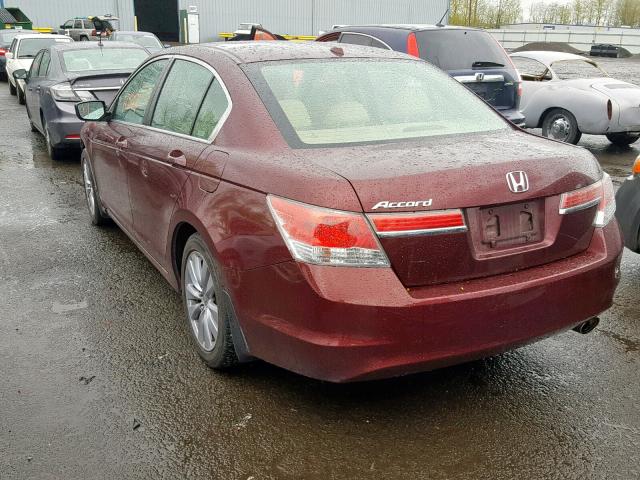 1HGCP2F81BA032987 - 2011 HONDA ACCORD EXL BURGUNDY photo 3