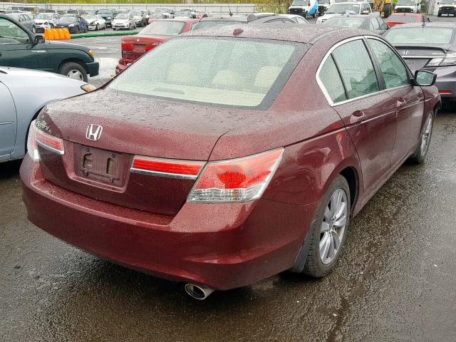 1HGCP2F81BA032987 - 2011 HONDA ACCORD EXL BURGUNDY photo 4