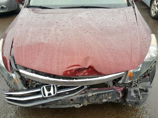 1HGCP2F81BA032987 - 2011 HONDA ACCORD EXL BURGUNDY photo 7