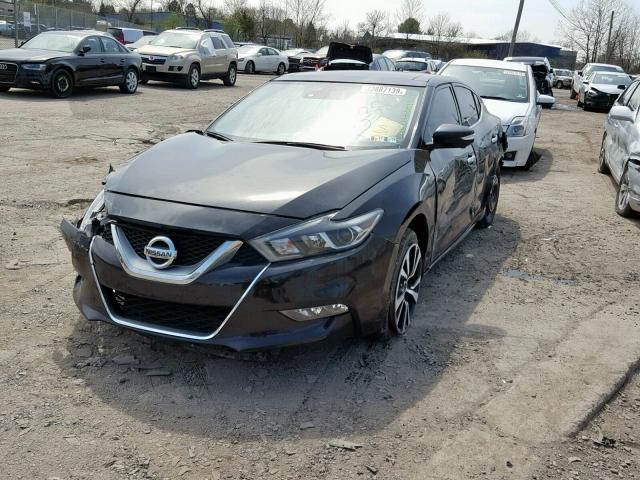 1N4AA6AP8GC435718 - 2016 NISSAN MAXIMA 3.5 BLACK photo 2