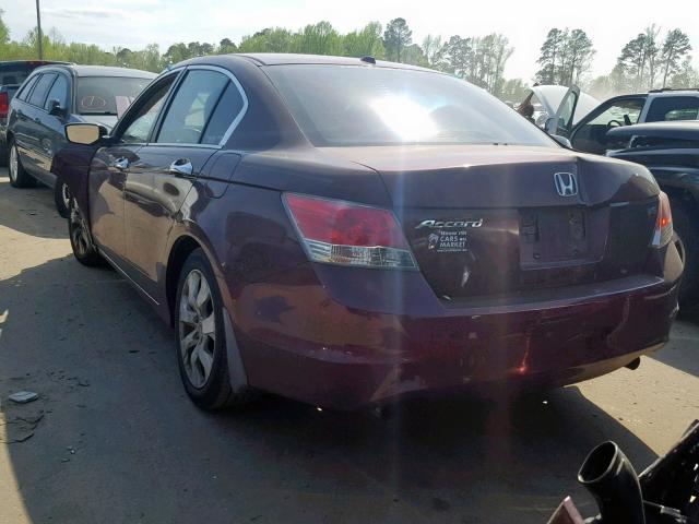 1HGCP36869A026229 - 2009 HONDA ACCORD EXL BURGUNDY photo 3