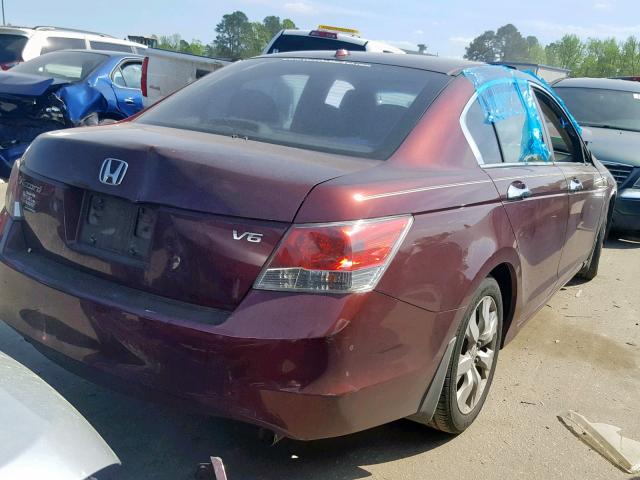 1HGCP36869A026229 - 2009 HONDA ACCORD EXL BURGUNDY photo 4