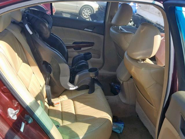 1HGCP36869A026229 - 2009 HONDA ACCORD EXL BURGUNDY photo 6