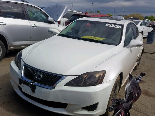 JTHBK262192087480 - 2009 LEXUS IS 250 WHITE photo 2