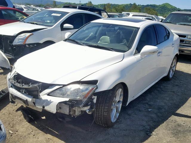 JTHBF5C29B5131868 - 2011 LEXUS IS 250 WHITE photo 2