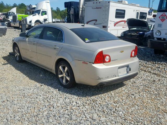 1G1ZC5E19BF126217 - 2011 CHEVROLET MALIBU 1LT BEIGE photo 3
