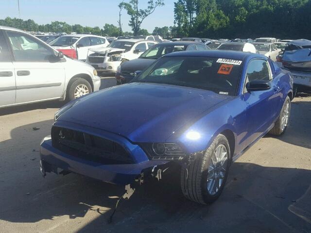 1ZVBP8AM2E5317788 - 2014 FORD MUSTANG BLUE photo 2