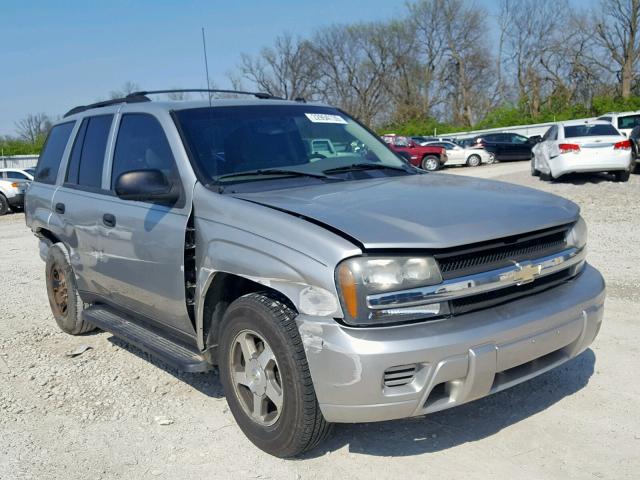 1GNDT13S252313341 - 2005 CHEVROLET TRAILBLAZE SILVER photo 1