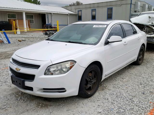 1G1ZH57B89F134942 - 2009 CHEVROLET MALIBU 1LT 白色 照片 2