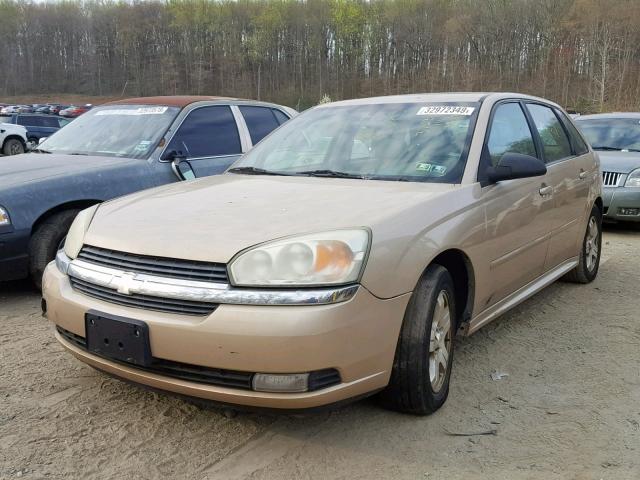 1G1ZU64814F180437 - 2004 CHEVROLET MALIBU MAX 金色 照片 2
