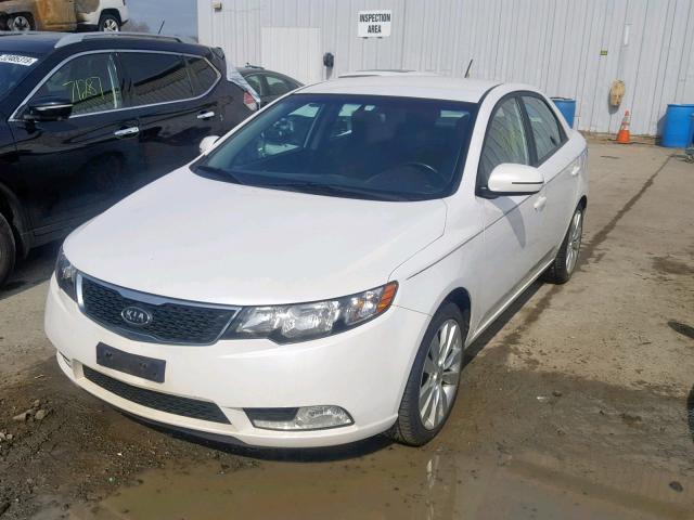 KNAFW4A33D5684685 - 2013 KIA FORTE SX WHITE photo 2