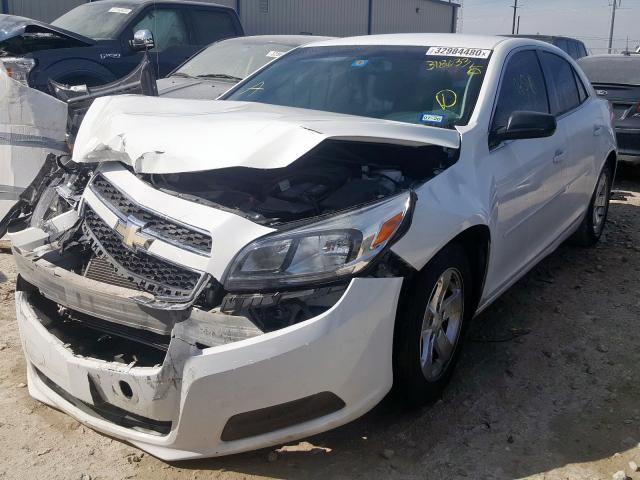 1G11A5SA3DF318033 - 2013 CHEVROLET MALIBU LS  photo 2