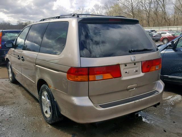 2HKRL18553H504667 - 2003 HONDA ODYSSEY LX BROWN photo 3