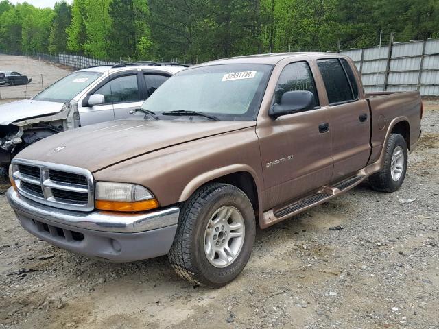 1B7GL2AN21S156137 - 2001 DODGE DAKOTA QUA BROWN photo 2