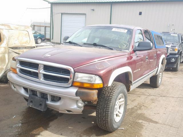 1B7HG48N42S585033 - 2002 DODGE DAKOTA QUA RED photo 2