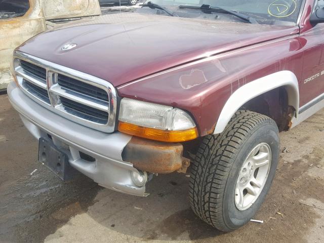 1B7HG48N42S585033 - 2002 DODGE DAKOTA QUA RED photo 9