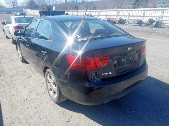 KNAFU4A29A5300904 - 2010 KIA FORTE EX  photo 3