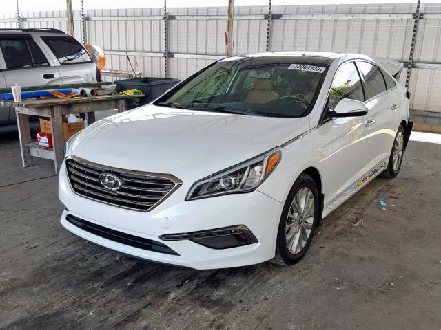 5NPE34AF3FH165429 - 2015 HYUNDAI SONATA SPO WHITE photo 2