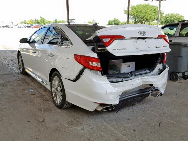 5NPE34AF3FH165429 - 2015 HYUNDAI SONATA SPO WHITE photo 3