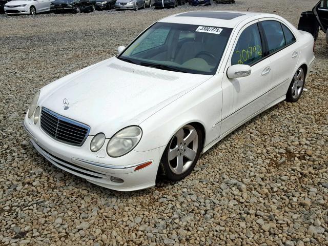 WDBUF70J84A452486 - 2004 MERCEDES-BENZ E 500 WHITE photo 2