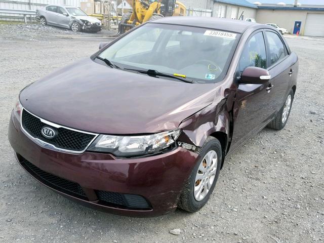 KNAFU4A26A5046732 - 2010 KIA FORTE EX BROWN photo 2