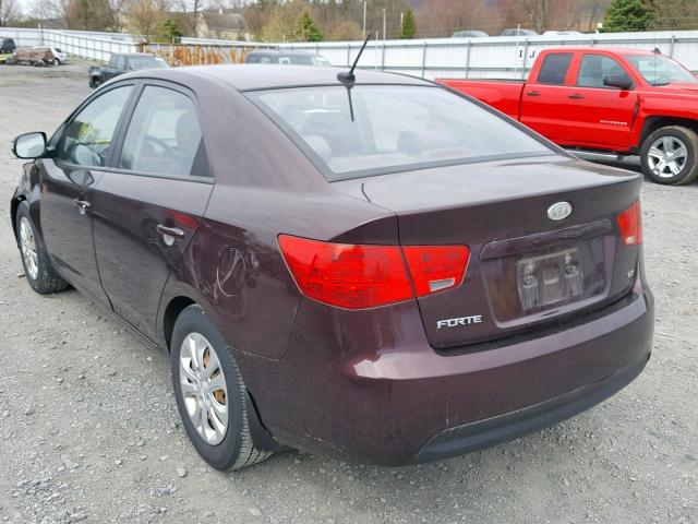 KNAFU4A26A5046732 - 2010 KIA FORTE EX BROWN photo 3