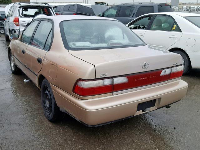 1NXBB02E7TZ485967 - 1996 TOYOTA COROLLA DX GOLD photo 3