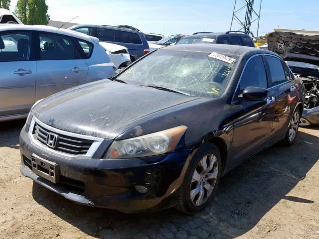 1HGCP36818A071559 - 2008 HONDA ACCORD EXL BLACK photo 2