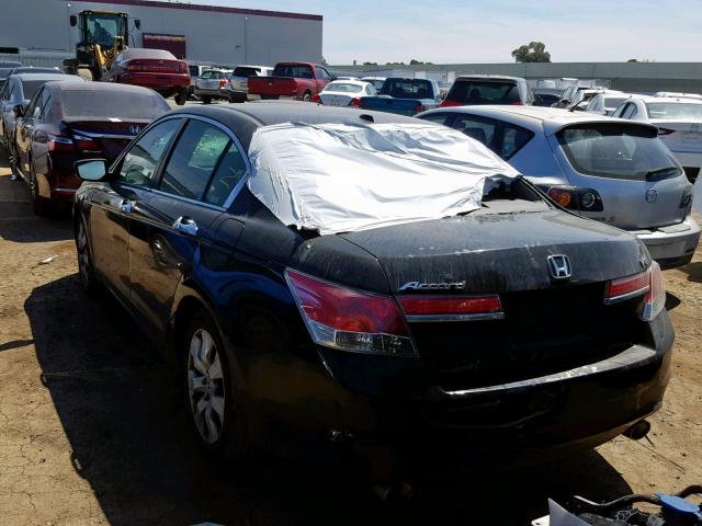 1HGCP36818A071559 - 2008 HONDA ACCORD EXL BLACK photo 3