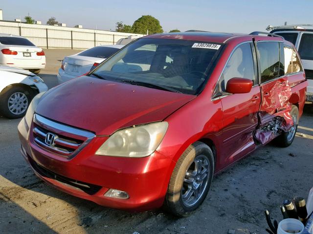 5FNRL38855B020652 - 2005 HONDA ODYSSEY TO RED photo 2