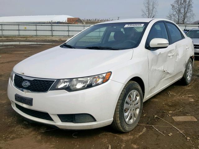 KNAFU4A27D5657485 - 2013 KIA FORTE EX WHITE photo 2