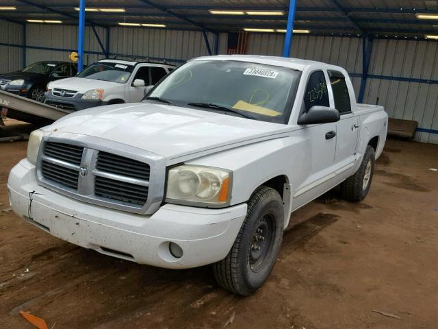 1D7HW48N85S262259 - 2005 DODGE DAKOTA QUA WHITE photo 2