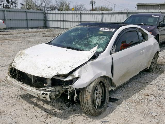 JTKDE167990281203 - 2009 TOYOTA SCION TC WHITE photo 2